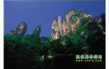 網(wǎng)絡(luò)熱門純玩游：張家界、天子山、袁家界、楊家界 自助三日游