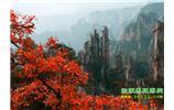 春節(jié)期間：張家界、天子山、金鞭溪自駕車(chē)精華精品游