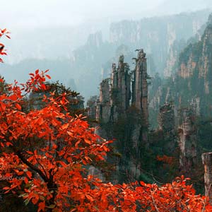 休閑自駕E線：張家界、袁家界、天子山、寶峰湖、鳳凰古城、沱江泛舟四晚五日游