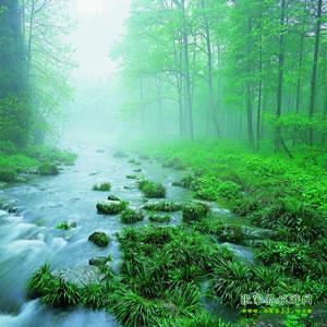 【純玩散拼尊享系列3】張家界、天子山、袁家界、黃龍洞、鳳凰三晚四日游