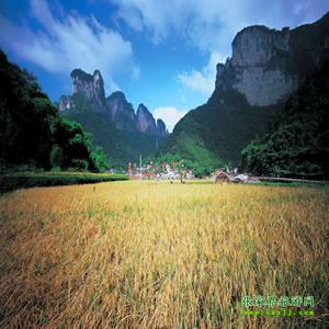 張家界往返純玩散拼：矮寨大橋、德夯苗寨、鳳凰古城、芙蓉鎮(zhèn)二日游