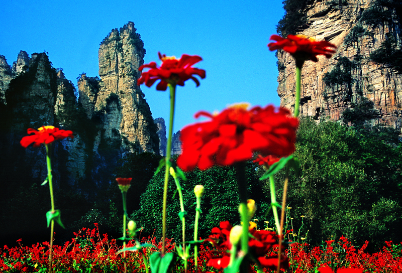 LF線：張家界國家森林公園、猛洞河漂流、鳳凰古城純玩自助五日游